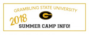 GSU 2018 summer camps banner