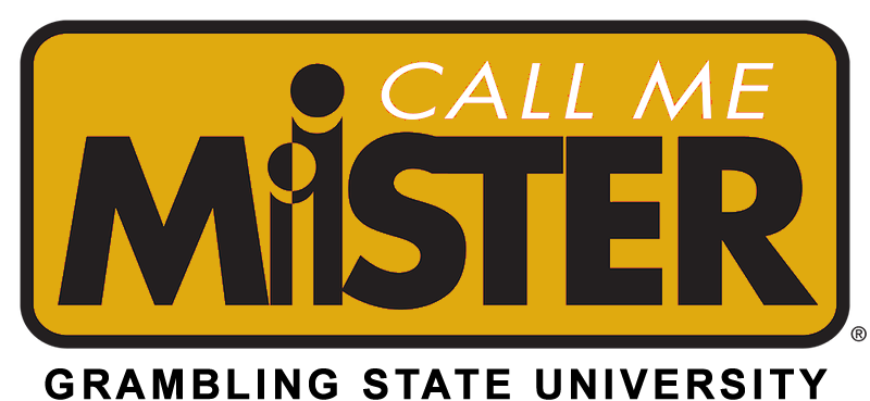 Call Me MISTER Logo