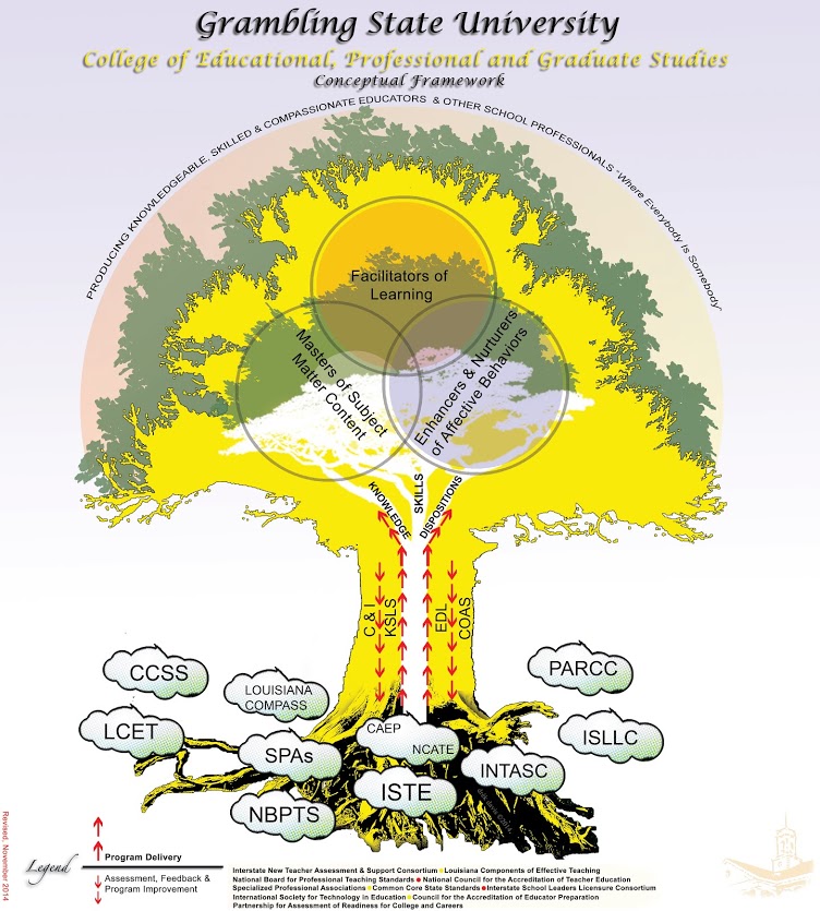 Click here for Conceptual Framework Diagram.