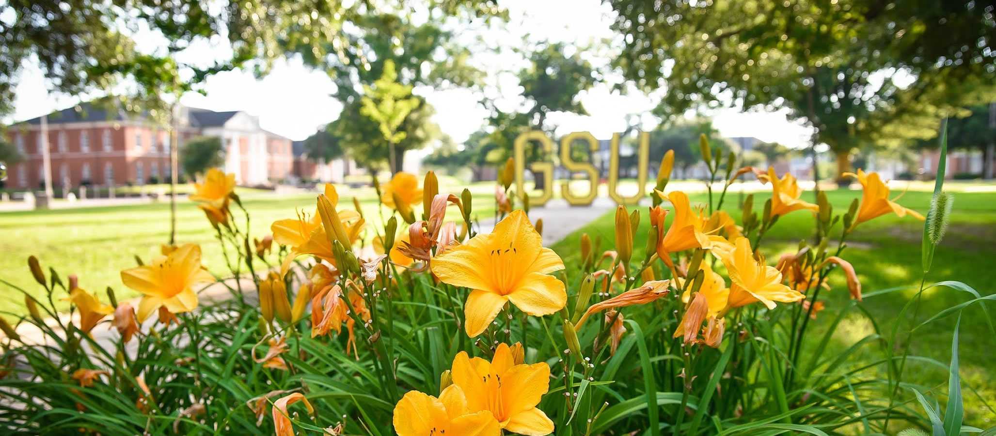 Campus Flowers in Quad in front of Long Jones Hall with GSU sign background