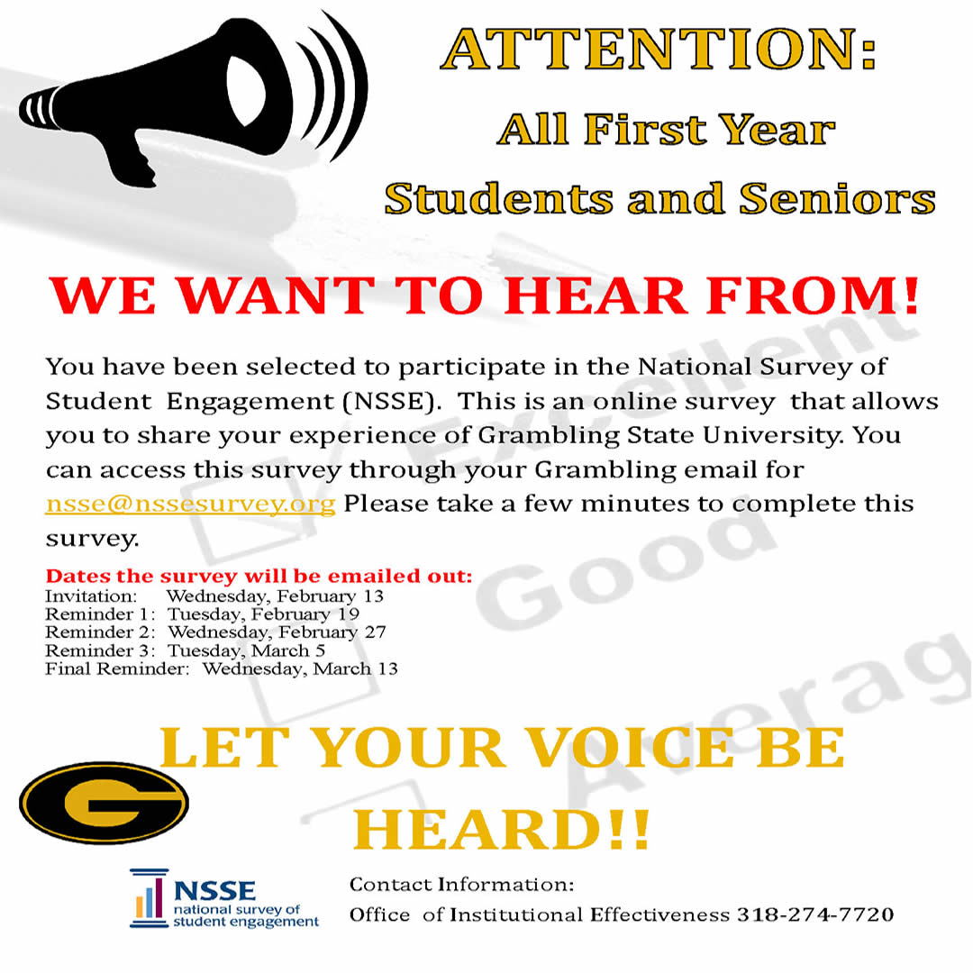 National Survey of Student Engagement (NSSE)