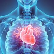 Introduction to Cardiovascular  Disease and Exercise