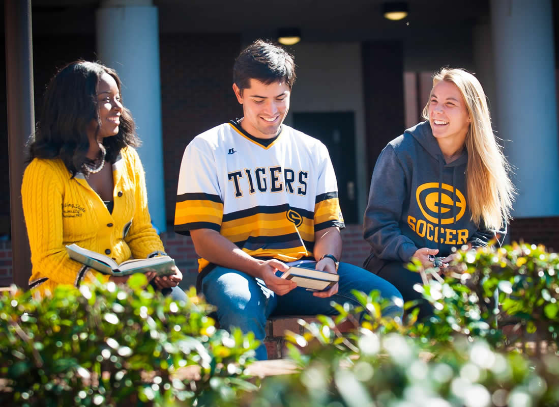 Featured Tigers Photo